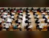 Chandigarh School of Internet Marketing Others(5)