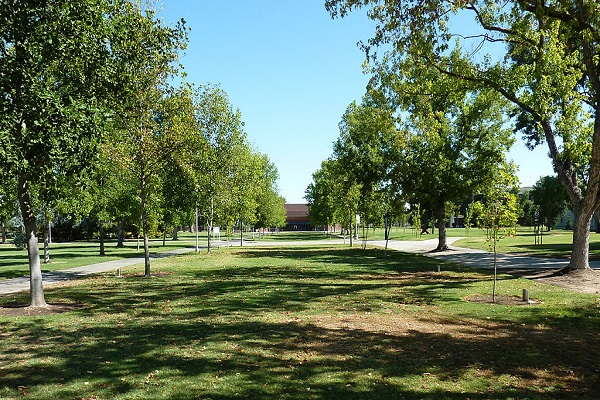 California State University Fresno Campus picture