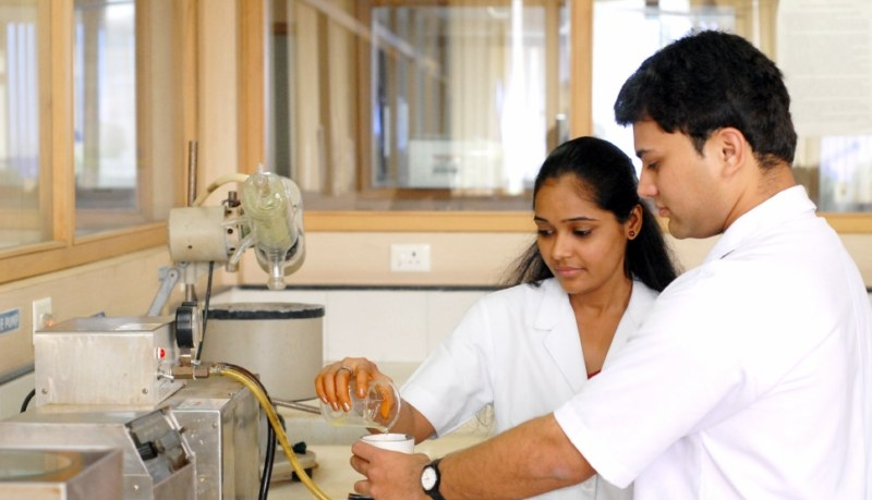 lab