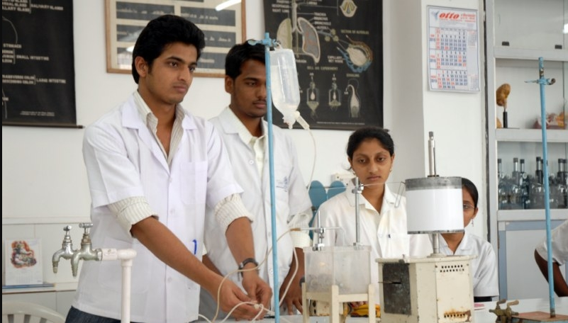 lab