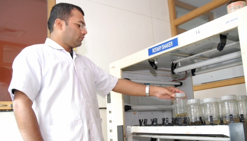 lab