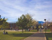 Northern Arizona University Others(4)