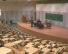 Lecture Hall