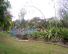 Cactus garden 1