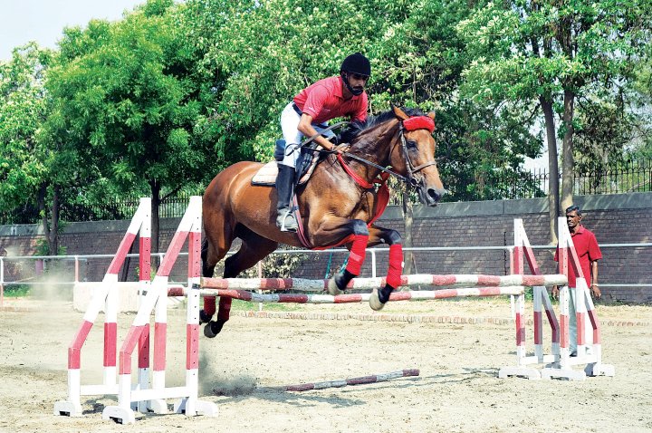 Horse Riding Academy