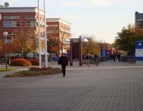 Linkoping University Others(9)