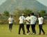 Cricket