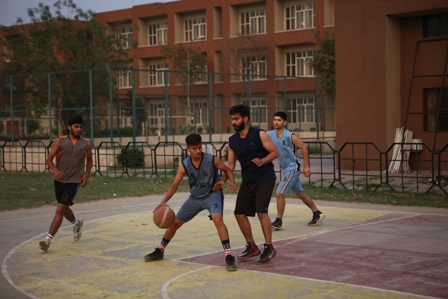 Basketball Court