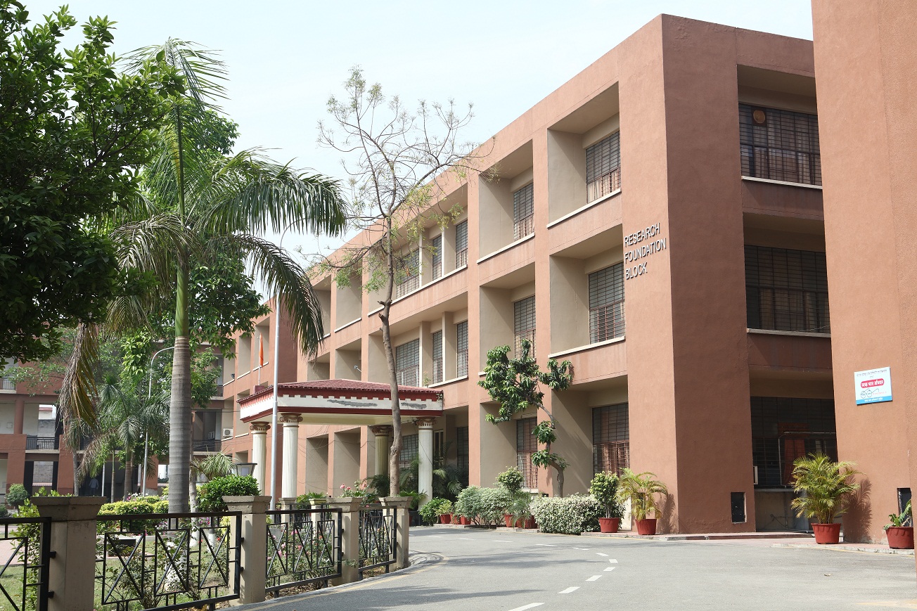 Foundation Block