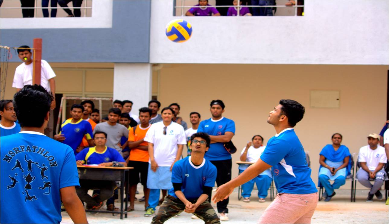 Volleyball Court
