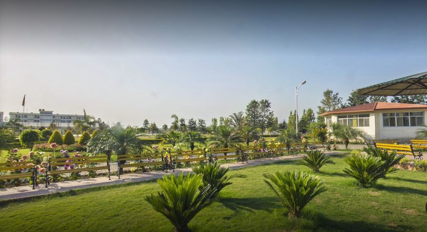 College Campus