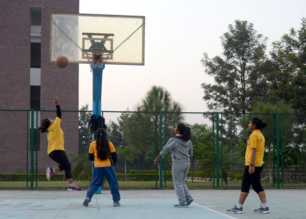Basket Ball