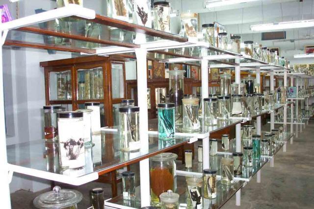 Tranquebar Bishop Manikam Lutheran College