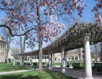 Baker University Others(10)