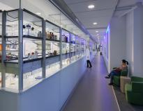 New York University Others(8)