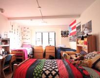 New York University Others(13)