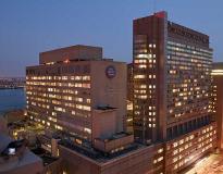 New York University Others(7)