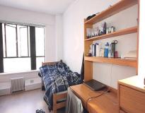 New York University Others(12)