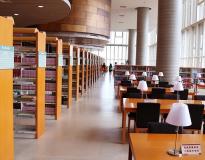 New York University Others(15)