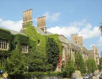 U of T Others(9)
