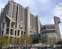 U of T Others(11)