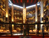 U of T Others(12)