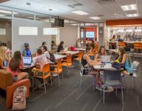 University of Florida Others(12)