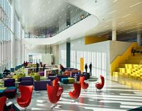 NC State University Others(10)