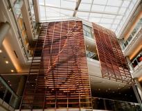 NC State University Others(7)