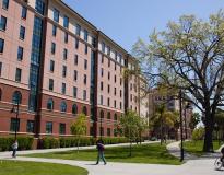 SJSU USA Others(11)