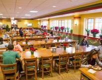 University of Illinois Urbana Champaign Others(11)