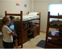 Vanderbilt University Others(13)