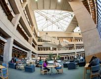 Wright State University Others(7)