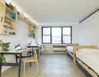 Pratt Institute Others(10)