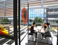 Brunel University Others(8)
