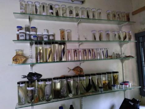 College of Fisheries Science, Navsari Agricultural University