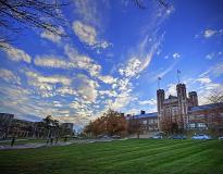 WashU Others(6)