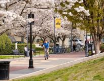 VCU Others(10)
