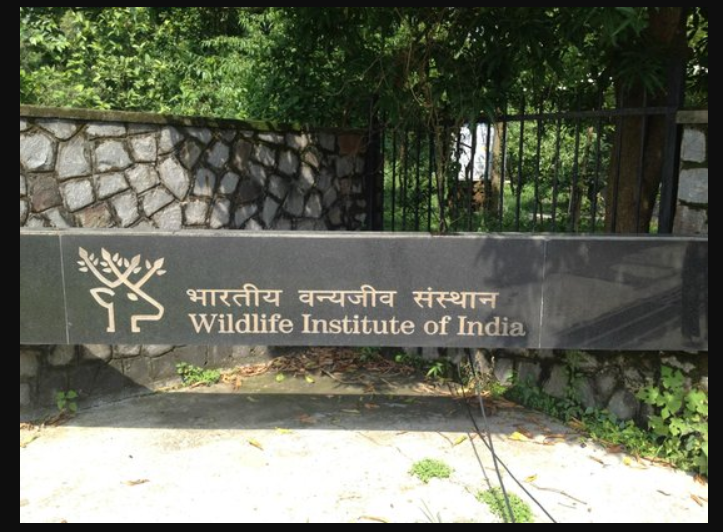 Campus Board at the entrance