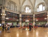 QMUL Others(7)