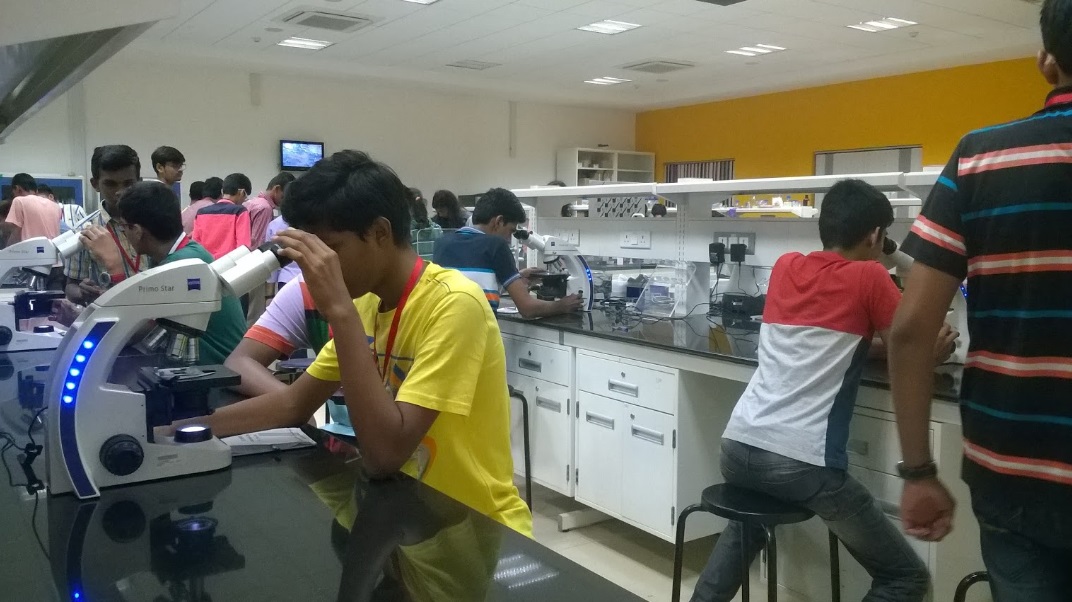 Lab