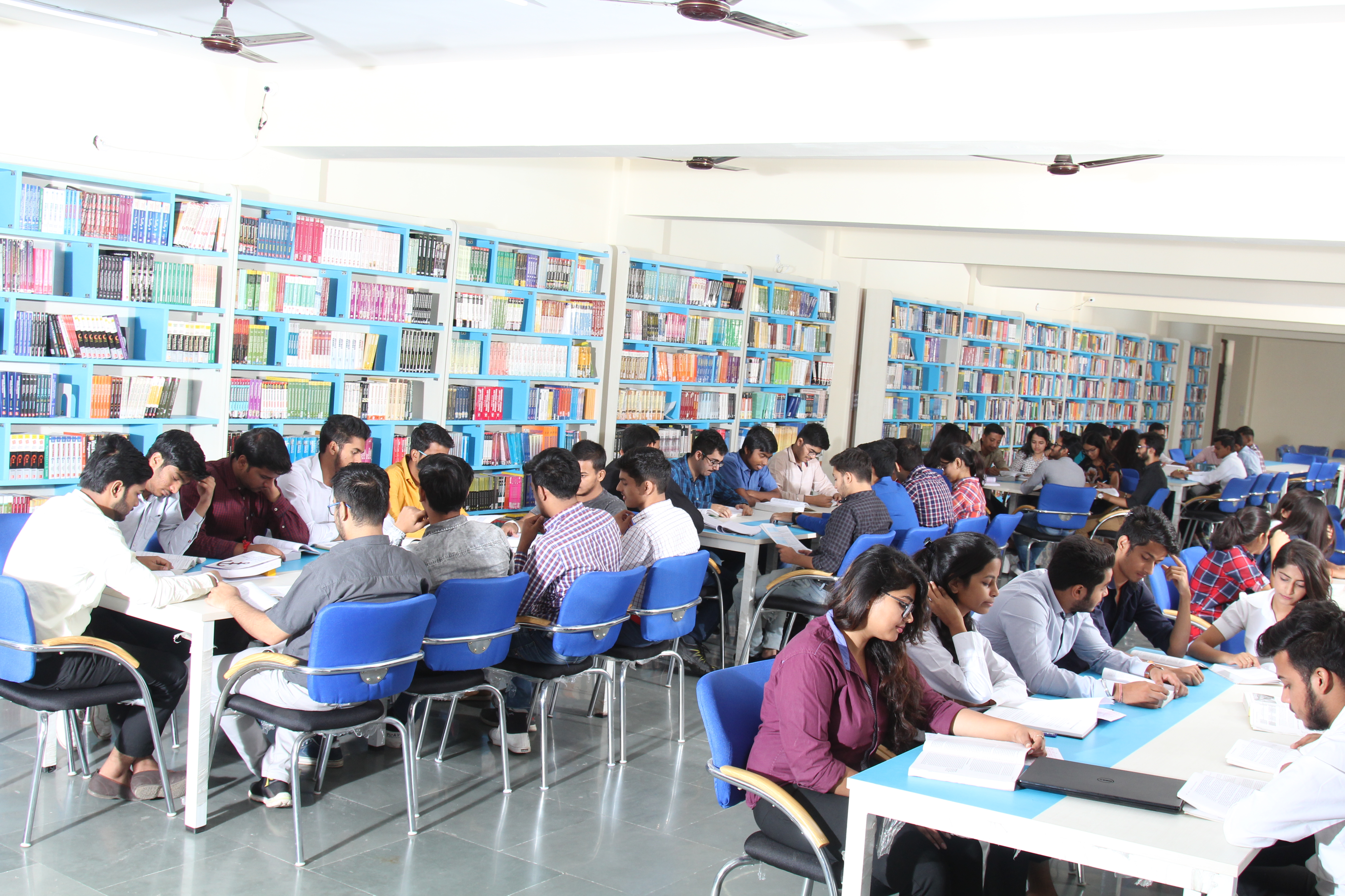 Library