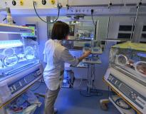 Zaporizhia State Medical University Campus Others(6)