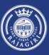 Rajagiri Viswajyothi College of Arts and Applied Sciences