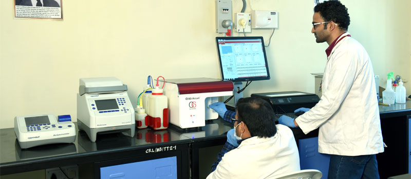 Lab