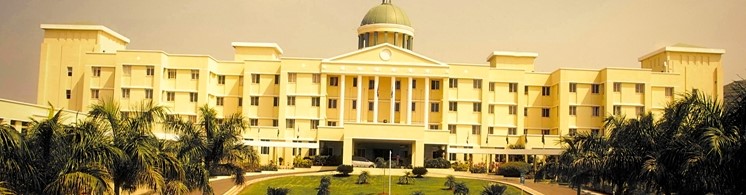 School of Management, Ajeenkya DY Patil University