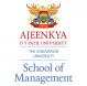 School of Management, Ajeenkya DY Patil University