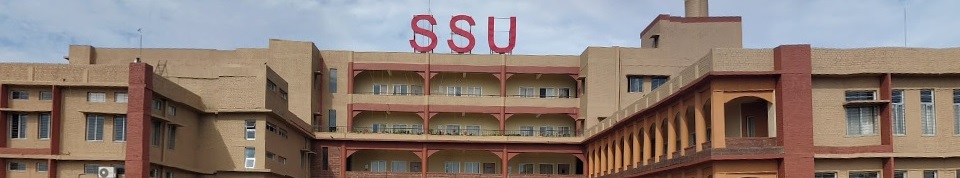 Sri Sri University