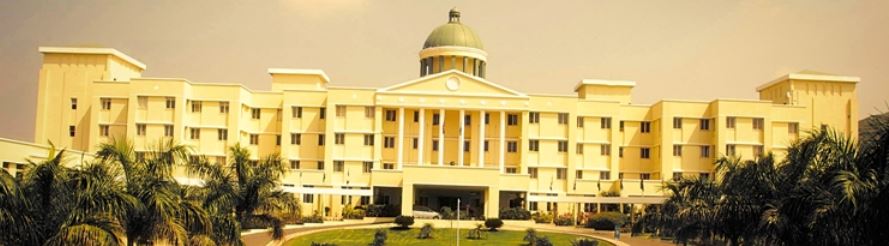 Ajeenkya DY Patil University - Seamedu School of Pro-Expressionism