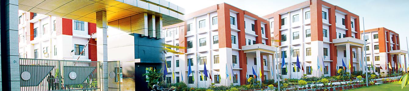 Motherhood University